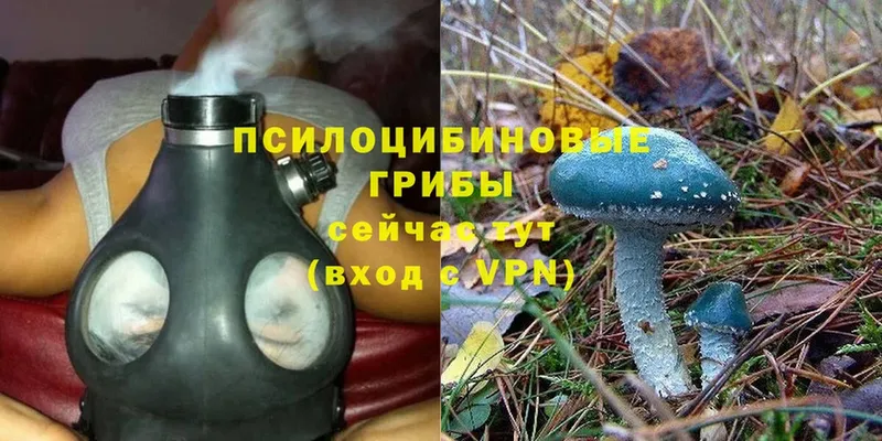 Псилоцибиновые грибы Magic Shrooms Белореченск